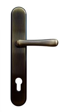 ELBPT10